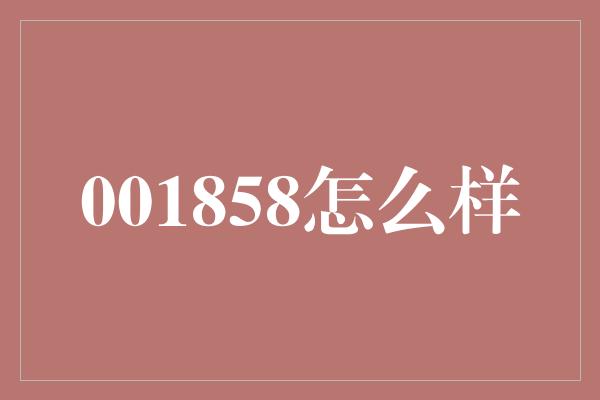 001858怎么样