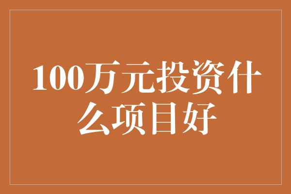 100万元投资什么项目好