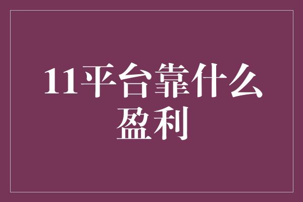 11平台靠什么盈利