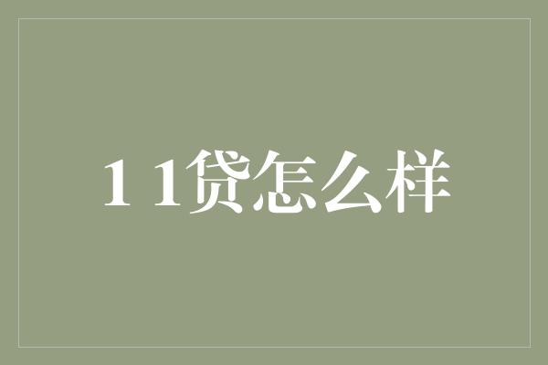 1 1贷怎么样