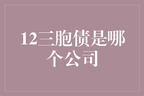 12三胞债是哪个公司