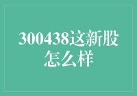 300438新股：科技与创新的风向标