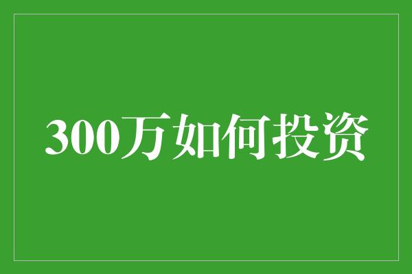 300万如何投资