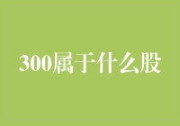 为什么说'300'是一种特殊的股票？