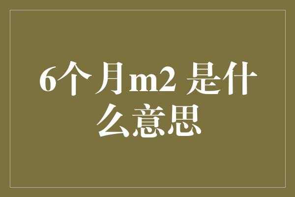 6个月m2 是什么意思