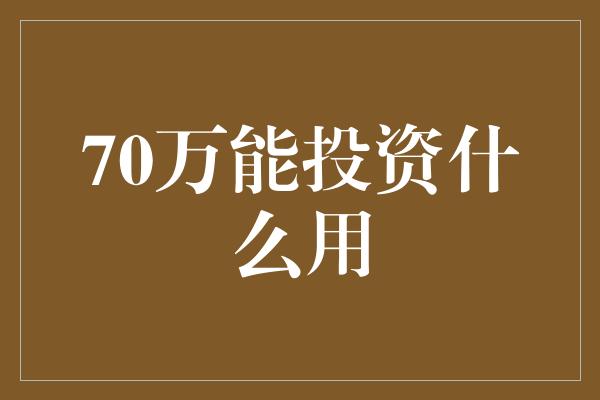 70万能投资什么用