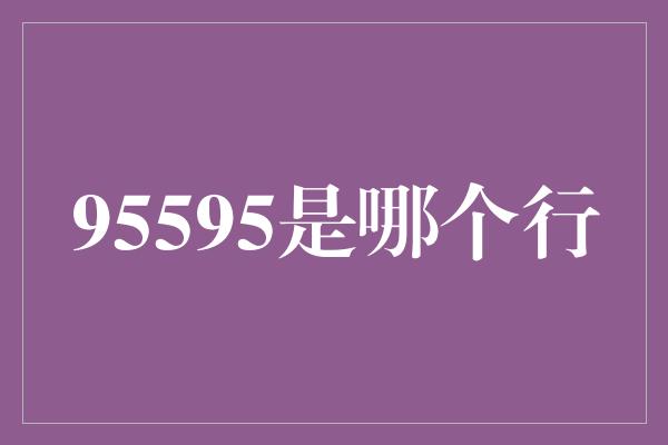 95595是哪个行