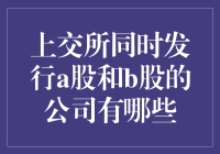 上交所同时发行A股和B股的上市公司一览