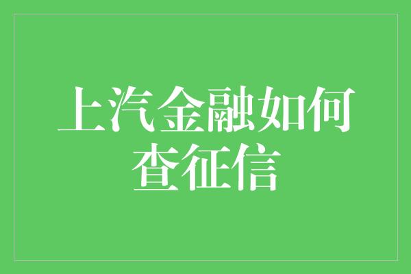 上汽金融如何查征信