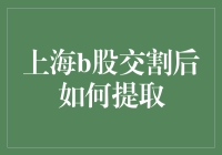 上海B股交割后提取流程解析与注意事项