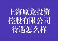 上海原龙投资控股有限公司待遇怎么样？小白兔告诉你！