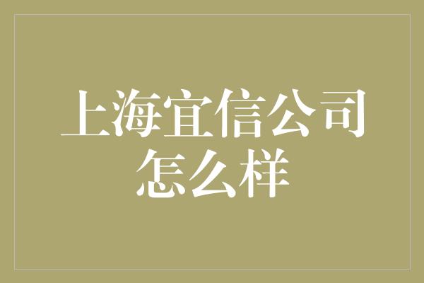 上海宜信公司怎么样