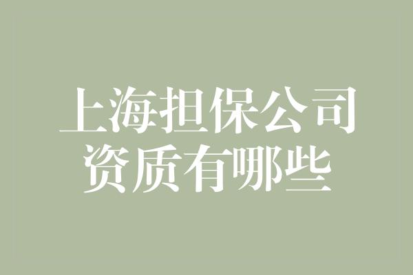 上海担保公司资质有哪些