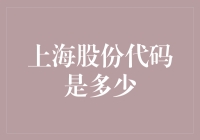 你问我上海股份代码是多少？我这才发现，我要的是整条股票河！