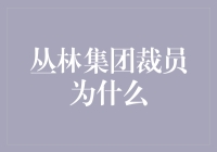 丛林集团裁员的背后：结构调整与行业趋势分析