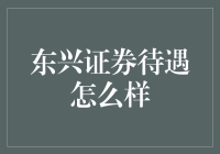 东兴证券待遇真的好吗？揭秘金融从业者的真实体验！