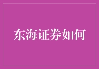 东海证券的优势与挑战