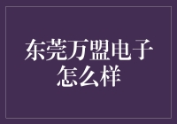 东莞万盟电子到底如何？值得投资吗？