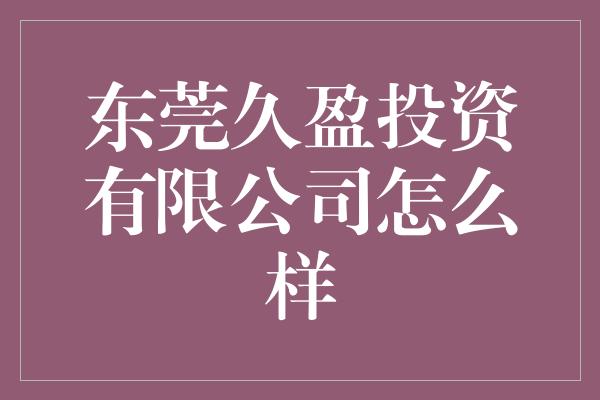 东莞久盈投资有限公司怎么样