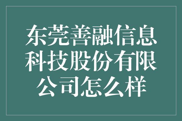 东莞善融信息科技股份有限公司怎么样