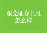 东莞证券上班怎么样？一份独特的财经体验报告