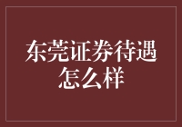 东莞证券待遇怎么样？行业竞争视角的深度剖析