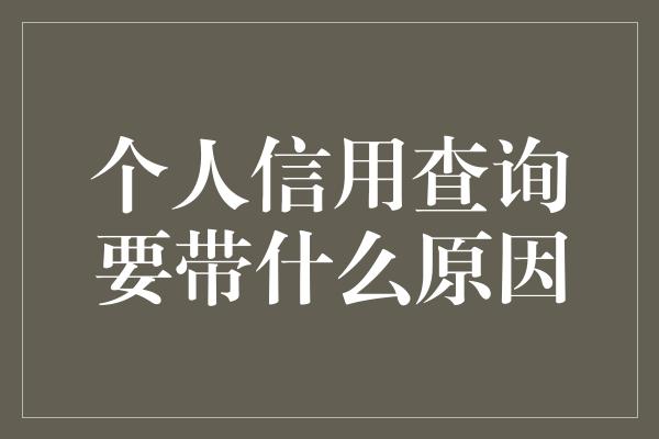 个人信用查询要带什么原因