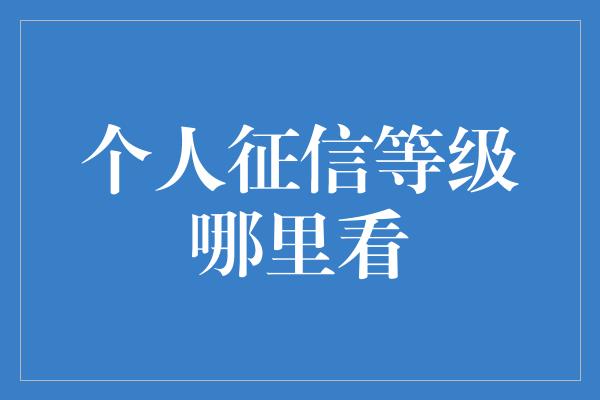 个人征信等级哪里看