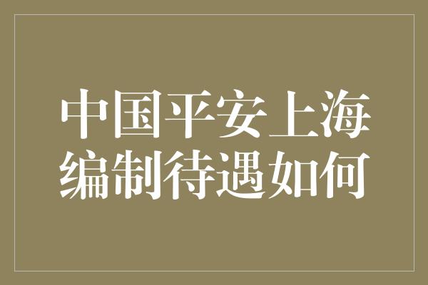 中国平安上海编制待遇如何