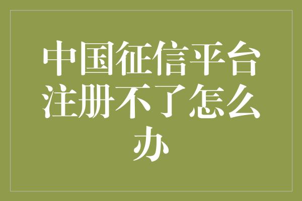 中国征信平台注册不了怎么办