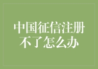 中国征信系统注册失败：解决之道与权威建议