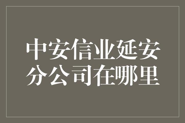 中安信业延安分公司在哪里