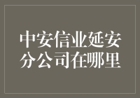 中安信业延安分公司：探索中国小微企业金融服务的新篇章