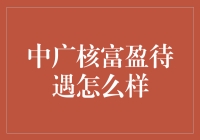 中广核富盈待遇解析：央企优势与职业前景并存