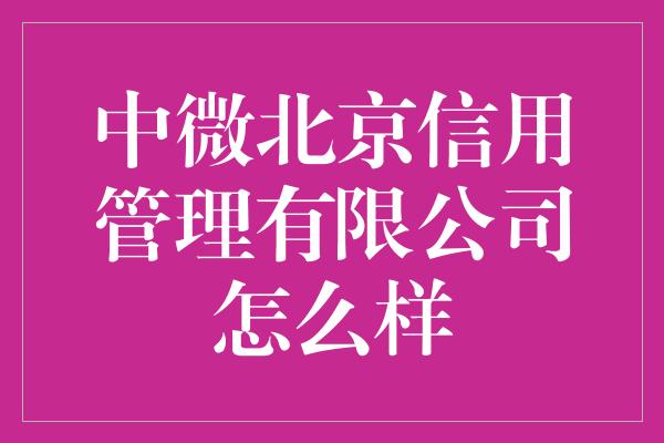 中微北京信用管理有限公司怎么样