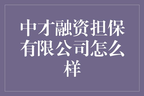 中才融资担保有限公司怎么样