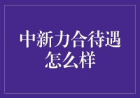 中新力合待遇解析：专注教育产业的中流砥柱企业