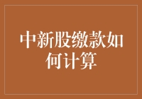 中新股缴款计算与策略分析：一场理性的投资探索