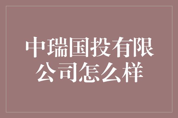 中瑞国投有限公司怎么样