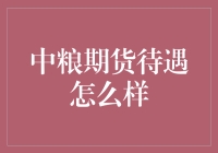 中粮期货待遇分析：专业人才的福利与挑战