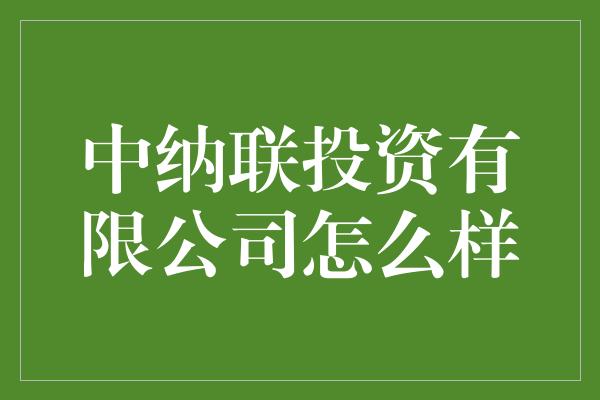 中纳联投资有限公司怎么样