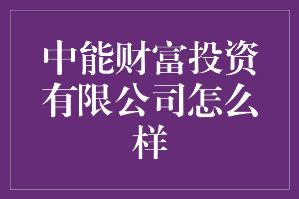 中能财富投资有限公司怎么样