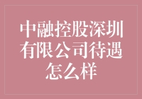 中融控股深圳有限公司：上海滩上的深圳富豪俱乐部？