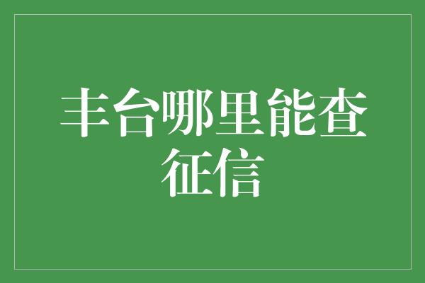 丰台哪里能查征信