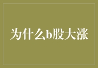 B股市场大涨背后的多重驱动因素解读