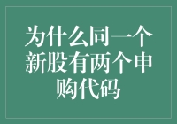 为什么同一新股会出现两个申购代码：解密股票市场规则