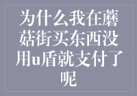 为什么我在蘑菇街买东西没用U盾就支付了呢？