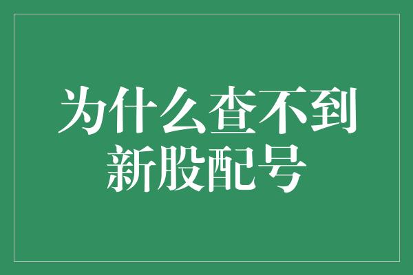 为什么查不到新股配号