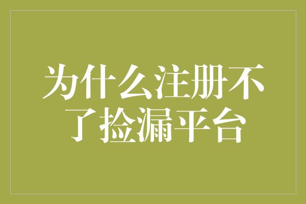 为什么注册不了捡漏平台