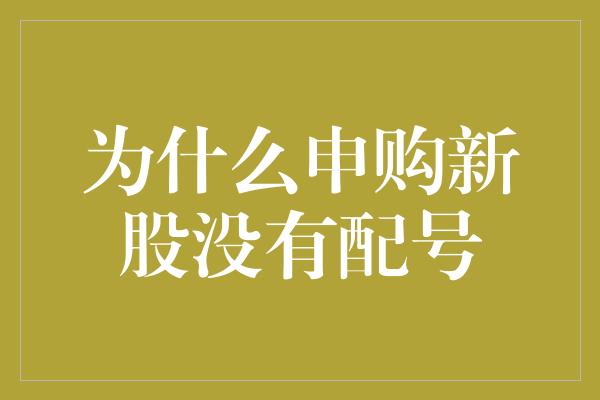 为什么申购新股没有配号